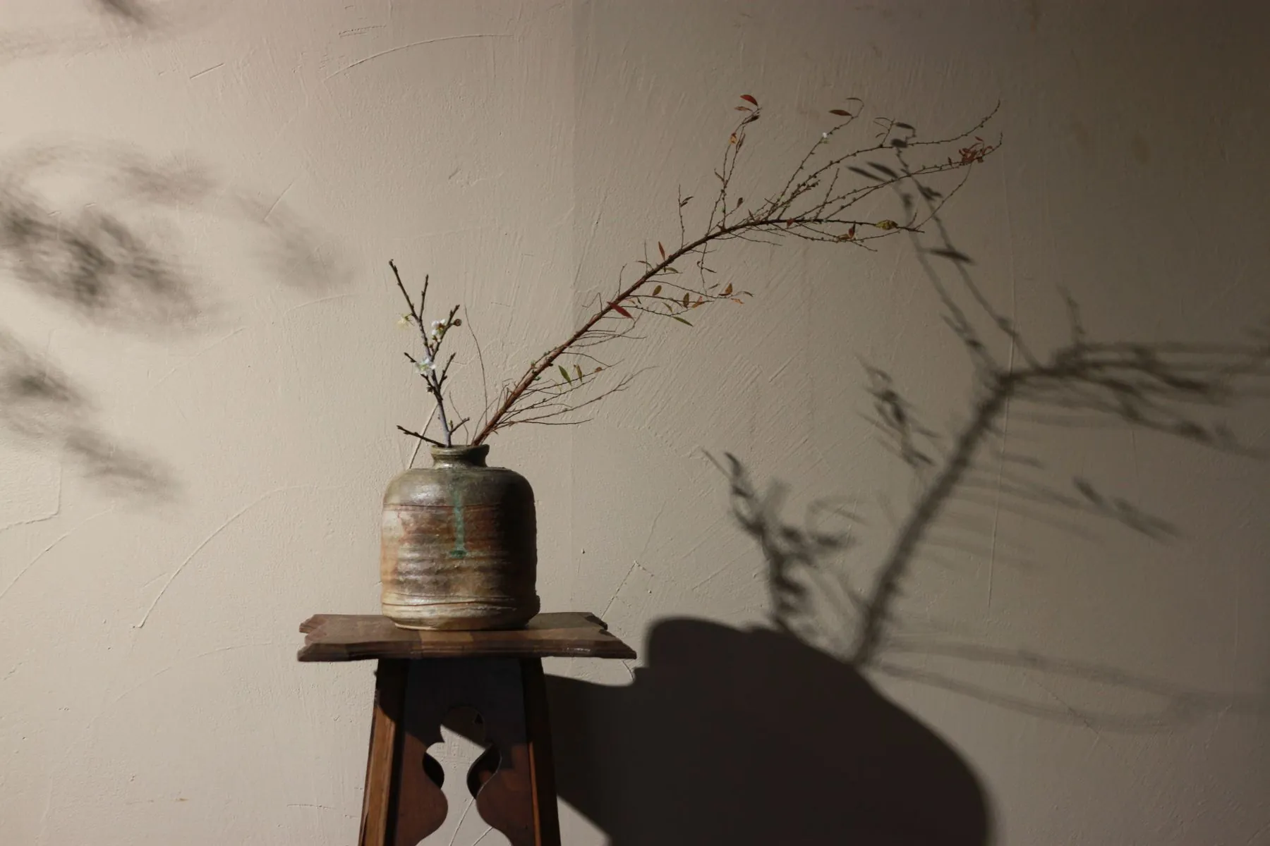 A single branch in a pot casting a shadow on a plain wall